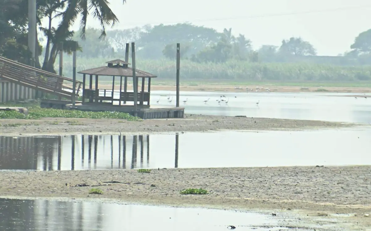 Sur de Tamaulipas al borde del colapso, inicia la desesperada búsqueda de agua ante la sequía más grave en la historia Alejandro del Ángel